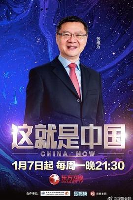 布朗克斯的故事